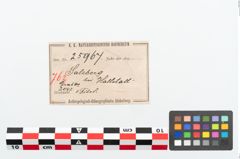 Etikett zu Bronzekahnfibel (NHMW-PRAE-025967)